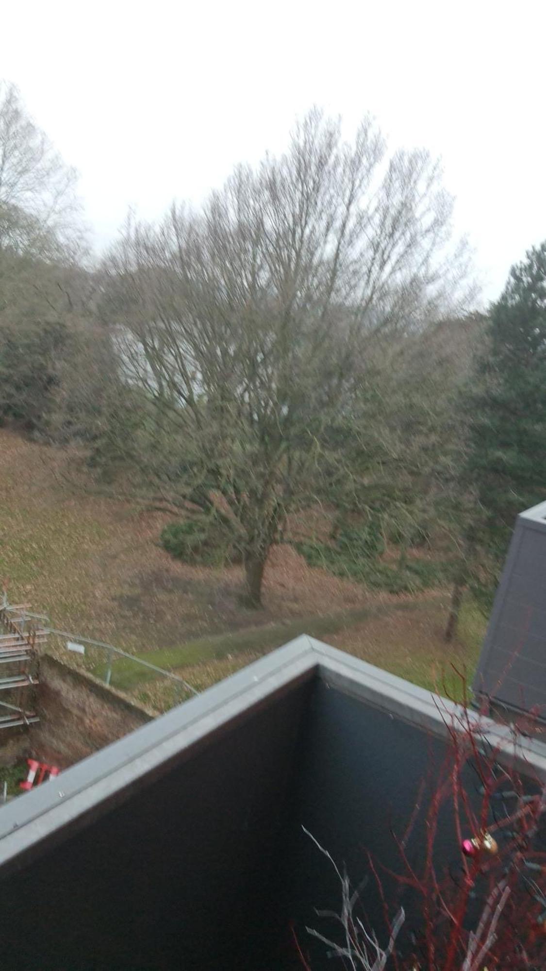 Apartment D'chin Dorcelle