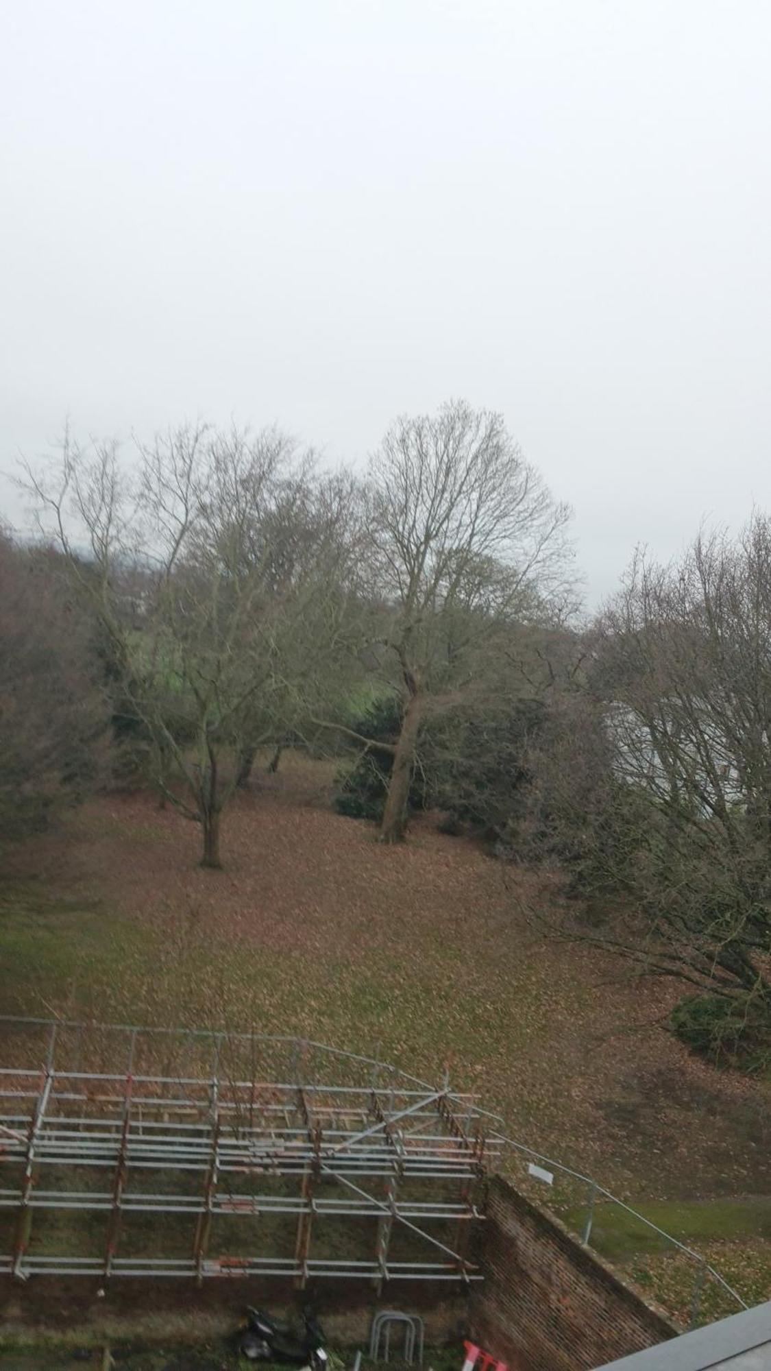 D'chin Dorcelle * Norbury (Greater London)